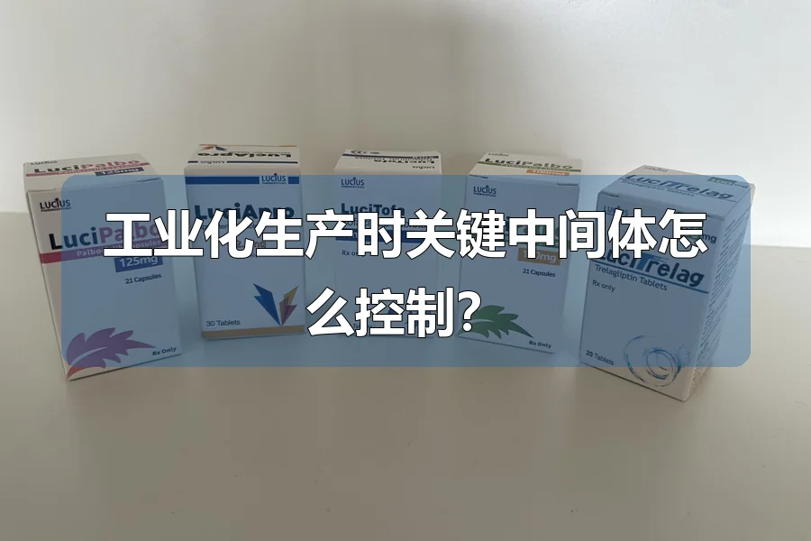工业化生产时关键中间体怎么控制？